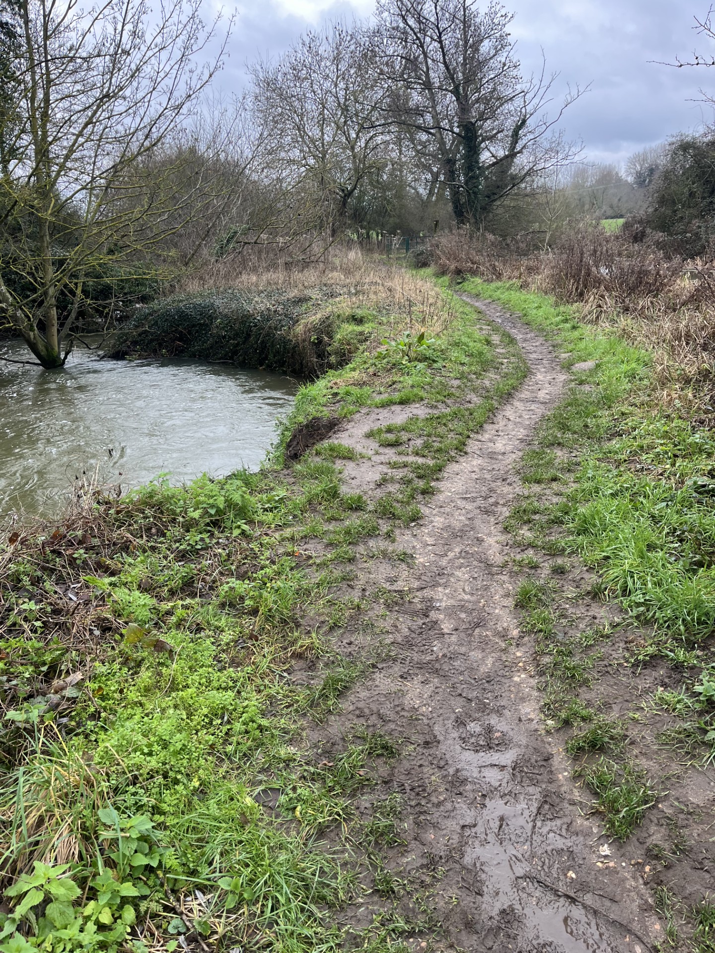 Condition in Feb 2026